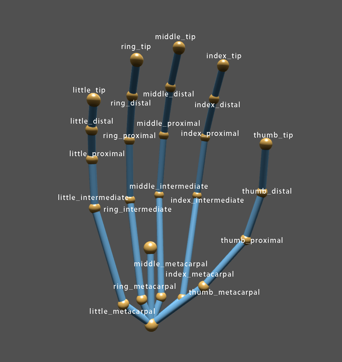 手部节点示意图：Dynamic OpenXR 固定 25 点节点名称
